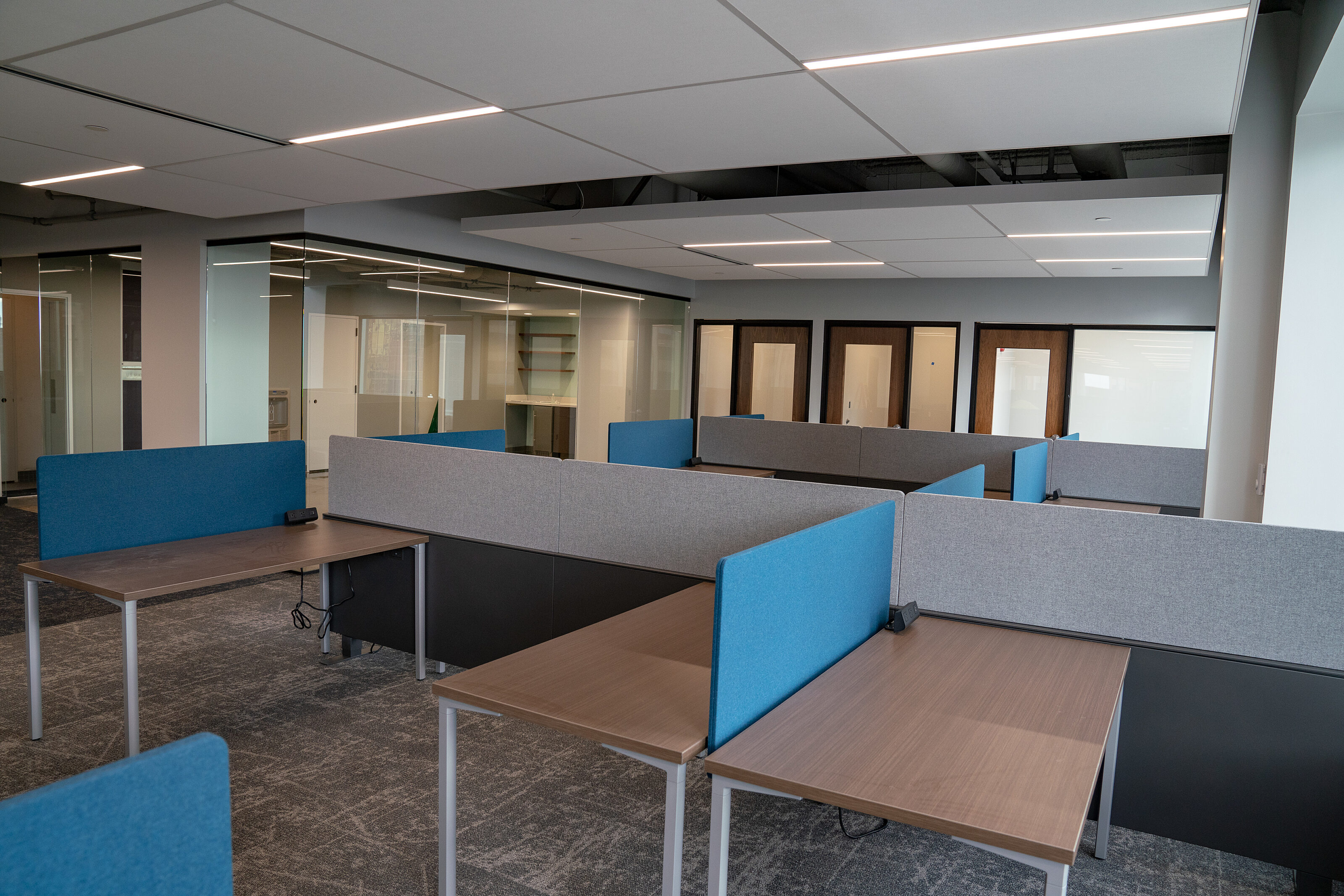 Lev Project Highlight: desk spaces with dividers