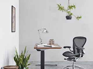 Your Local Resource for All Things Work From Home