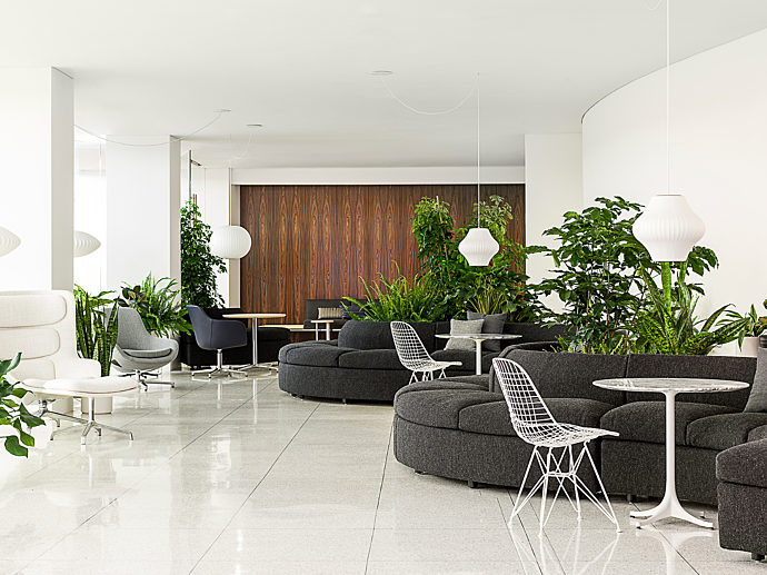 Geiger Collection