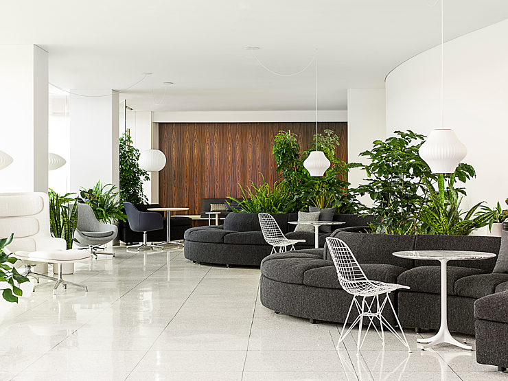 Geiger Collection